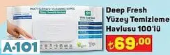 DEEP FRESH YÜZEY TEMİZLEME HAVLUSU DEEP FRESH YÜZEY TEMİZLEME HAVLUSU